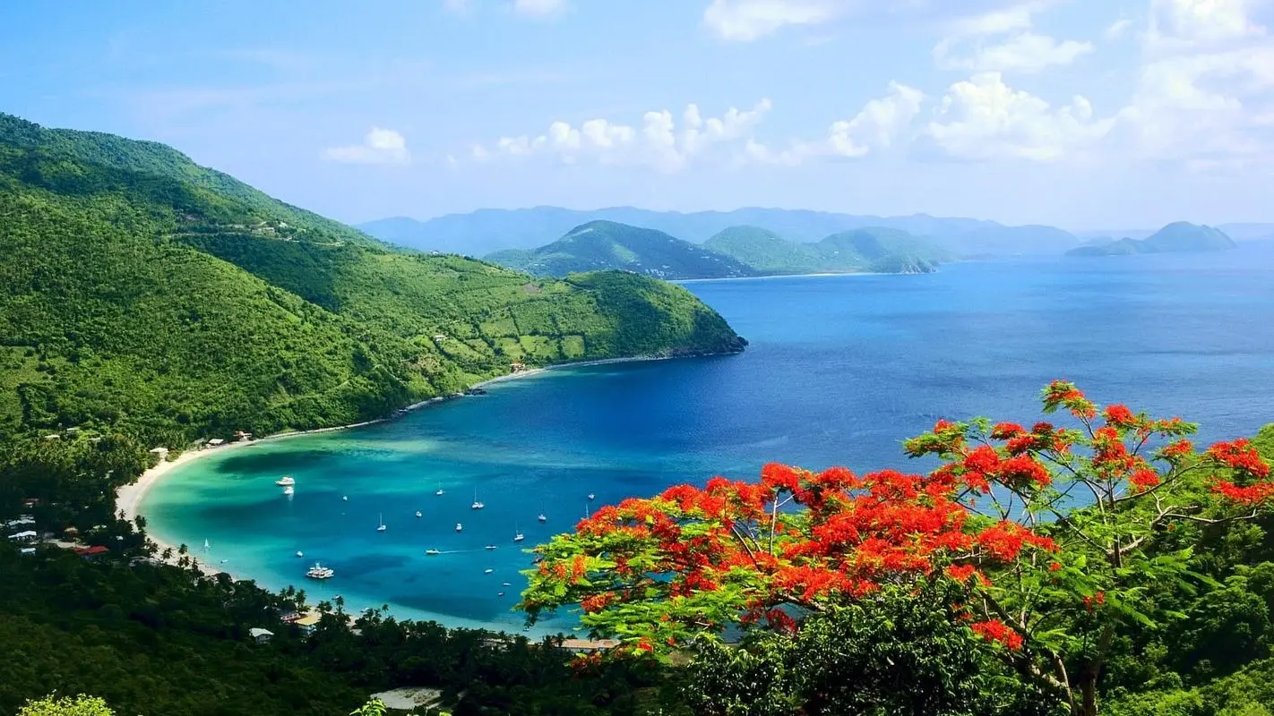 高标准全自动